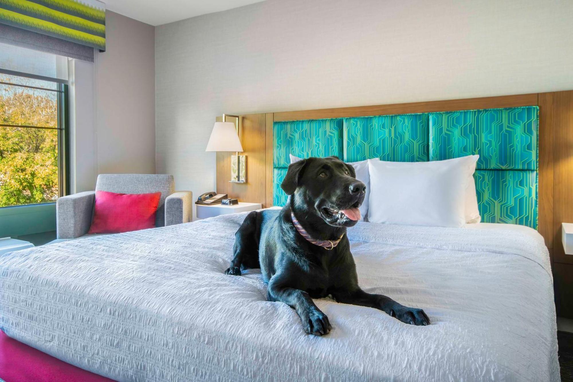 Hampton Inn East Aurora Екстериор снимка